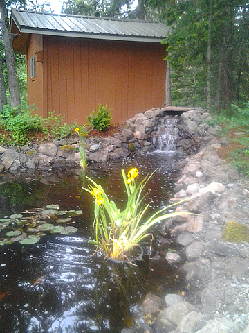 Waterfall, pond